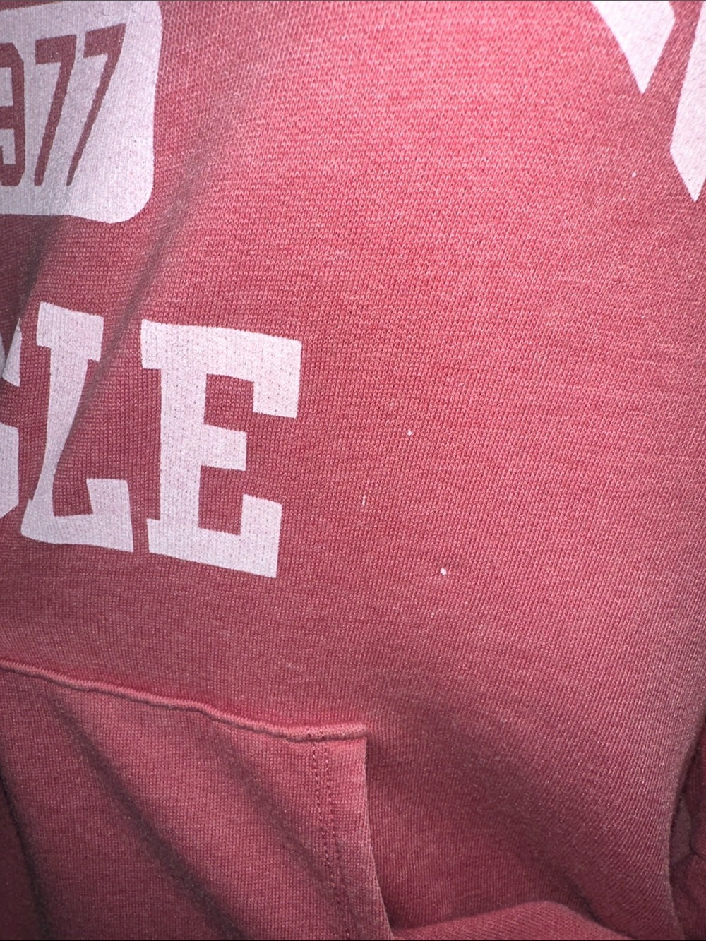 American Eagle Light Red Oversized Pullover Hoodie - Picture 2 of 5